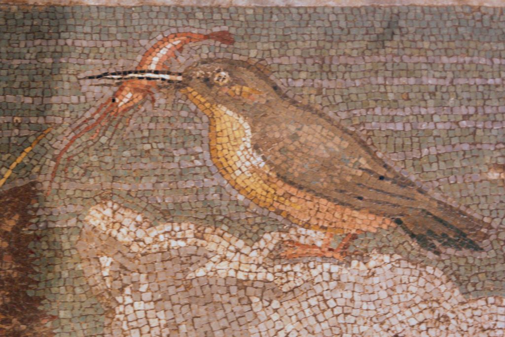 Primer pla de l’ocell posat sobre la roca, captat en el moment de subjectar una gamba amb el bec. És un dels detalls més vius i originals del mosaic.