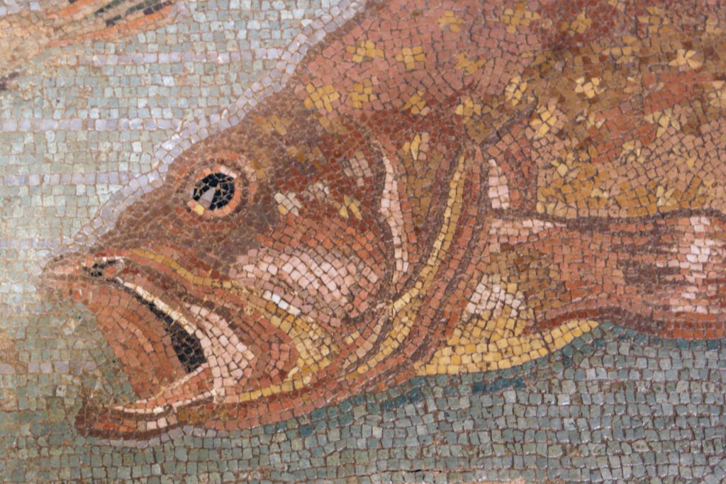 Primer pla del peix principal del mosaic, representat amb molta força expressiva: ull molt marcat, boca oberta i escates treballades amb gran detall.