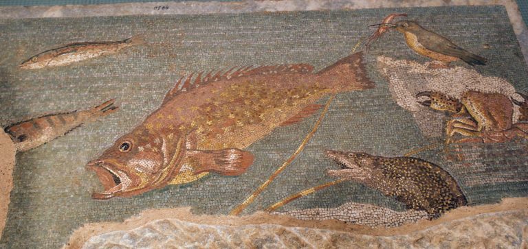 Detall ampli del mosaic amb un gran peix dominant l’escena, un blauet damunt la roca amb una gamba al bec i, a sota, una morena o anguila marina emergint entre les ones